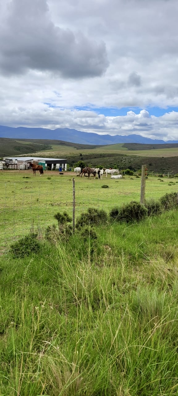 0 Bedroom Property for Sale in Swellendam Rural Western Cape